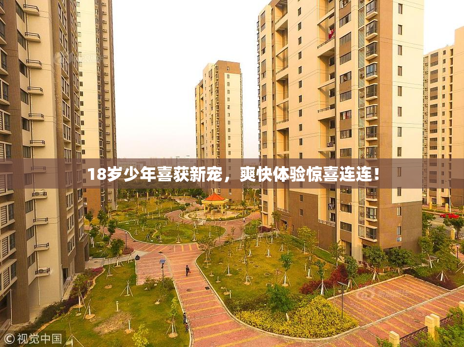 18岁少年喜获新宠，爽快体验惊喜连连！
