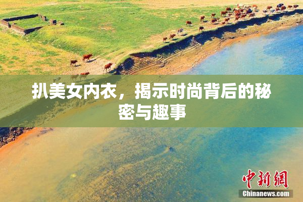 扒美女内衣，揭示时尚背后的秘密与趣事