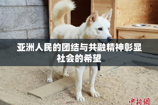 亚洲人民的团结与共融精神彰显社会的希望