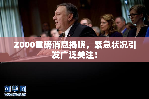 Z000重磅消息揭晓，紧急状况引发广泛关注！