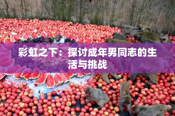 彩虹之下：探讨成年男同志的生活与挑战