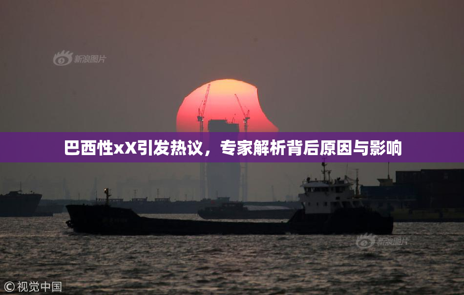 巴西性xX引发热议，专家解析背后原因与影响