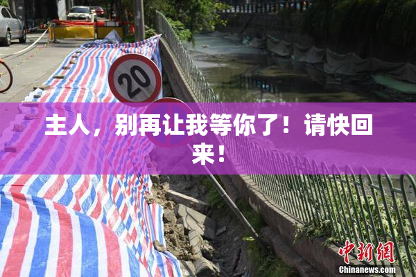 主人，别再让我等你了！请快回来！