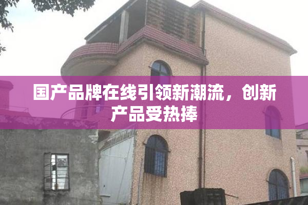 国产品牌在线引领新潮流，创新产品受热捧