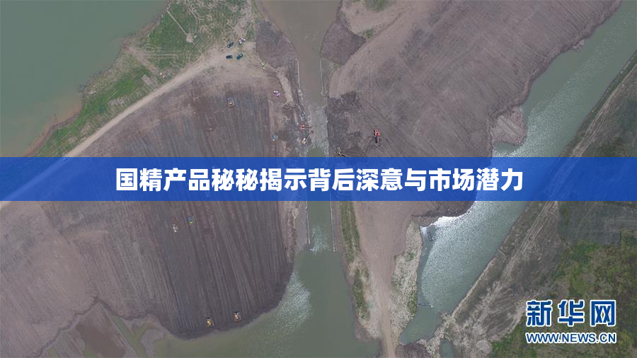 国精产品秘秘揭示背后深意与市场潜力