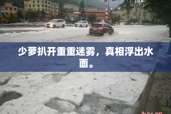 少萝扒开重重迷雾，真相浮出水面。