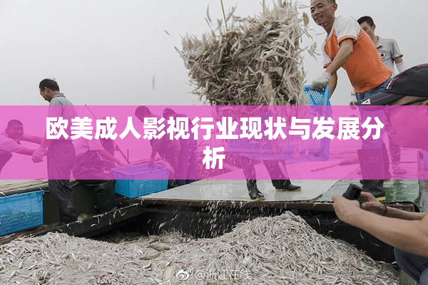欧美成人影视行业现状与发展分析