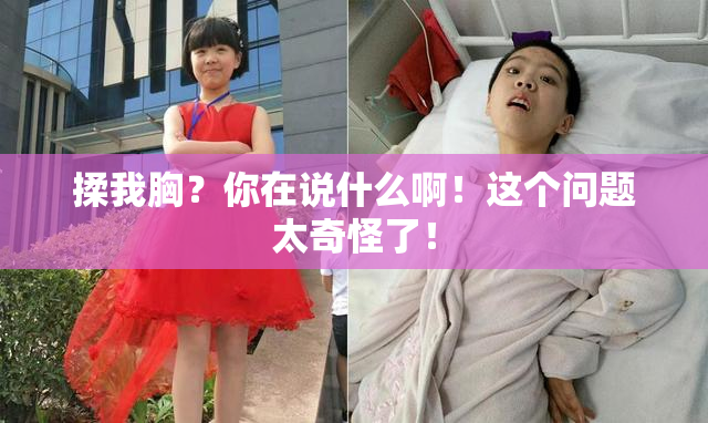 揉我胸？你在说什么啊！这个问题太奇怪了！