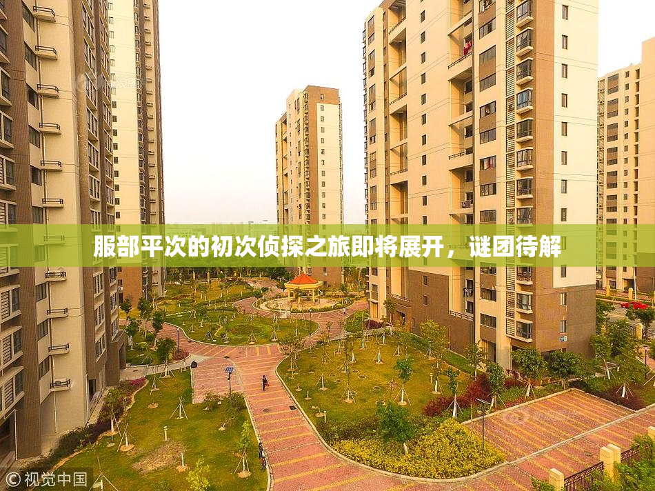 服部平次的初次侦探之旅即将展开，谜团待解