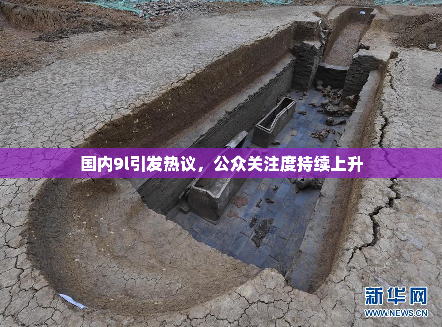 国内9l引发热议，公众关注度持续上升