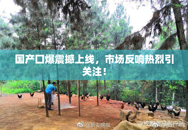 国产囗爆震撼上线，市场反响热烈引关注！