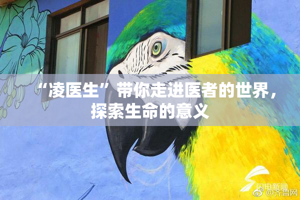 “凌医生”带你走进医者的世界，探索生命的意义