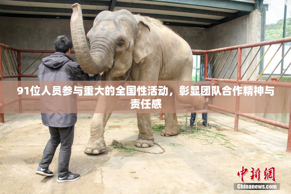 91位人员参与重大的全国性活动，彰显团队合作精神与责任感