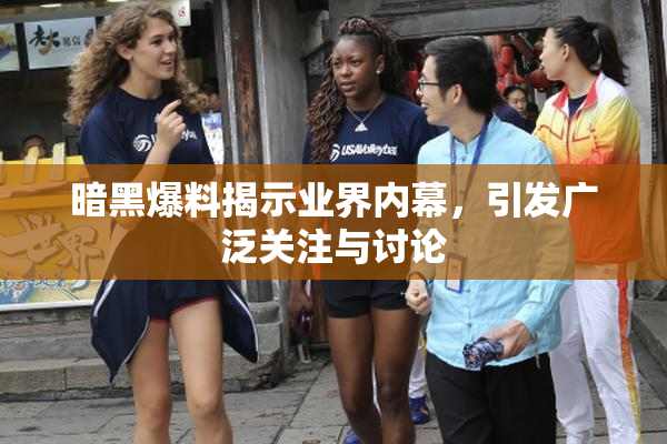 暗黑爆料揭示业界内幕，引发广泛关注与讨论