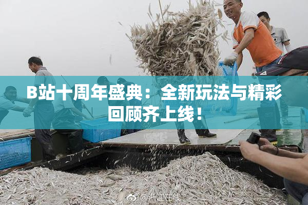 B站十周年盛典：全新玩法与精彩回顾齐上线！