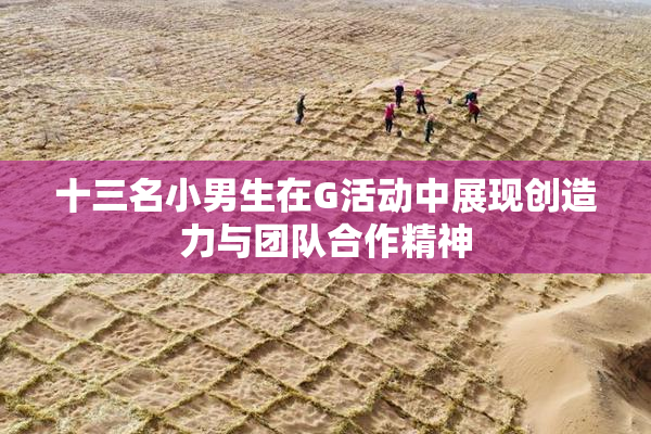 十三名小男生在G活动中展现创造力与团队合作精神