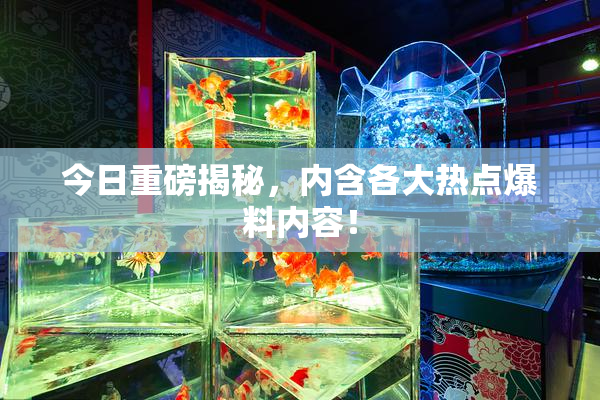 今日重磅揭秘，内含各大热点爆料内容！