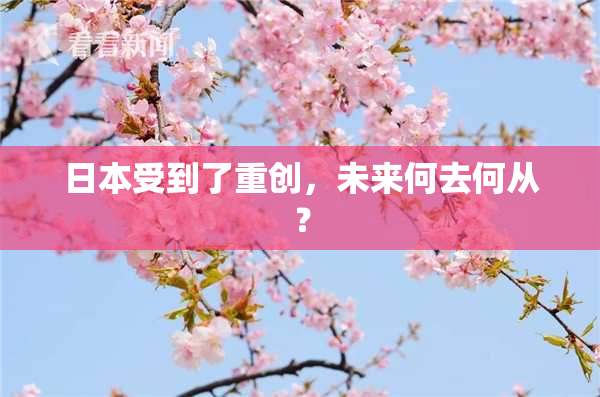 日本受到了重创，未来何去何从？