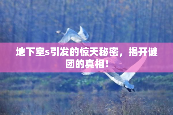 地下室s引发的惊天秘密，揭开谜团的真相！