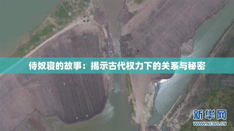 侍奴寝的故事：揭示古代权力下的关系与秘密