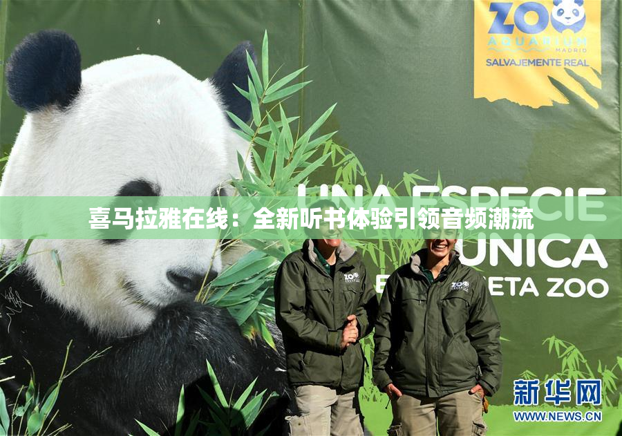 喜马拉雅在线：全新听书体验引领音频潮流