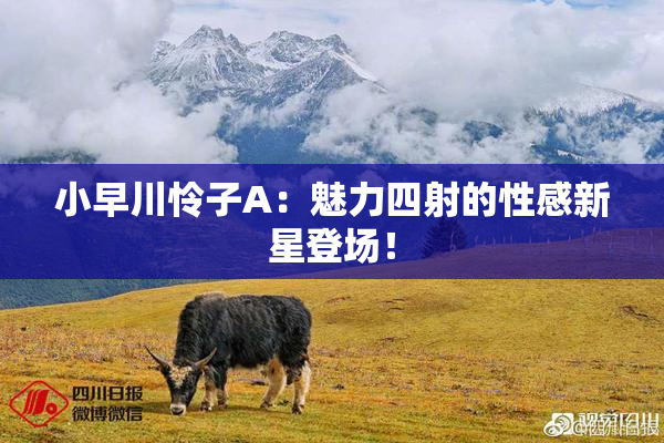 小早川怜子A：魅力四射的性感新星登场！