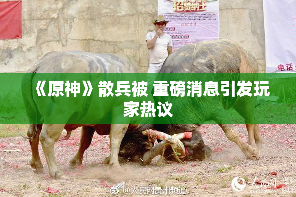 《原神》散兵被 重磅消息引发玩家热议