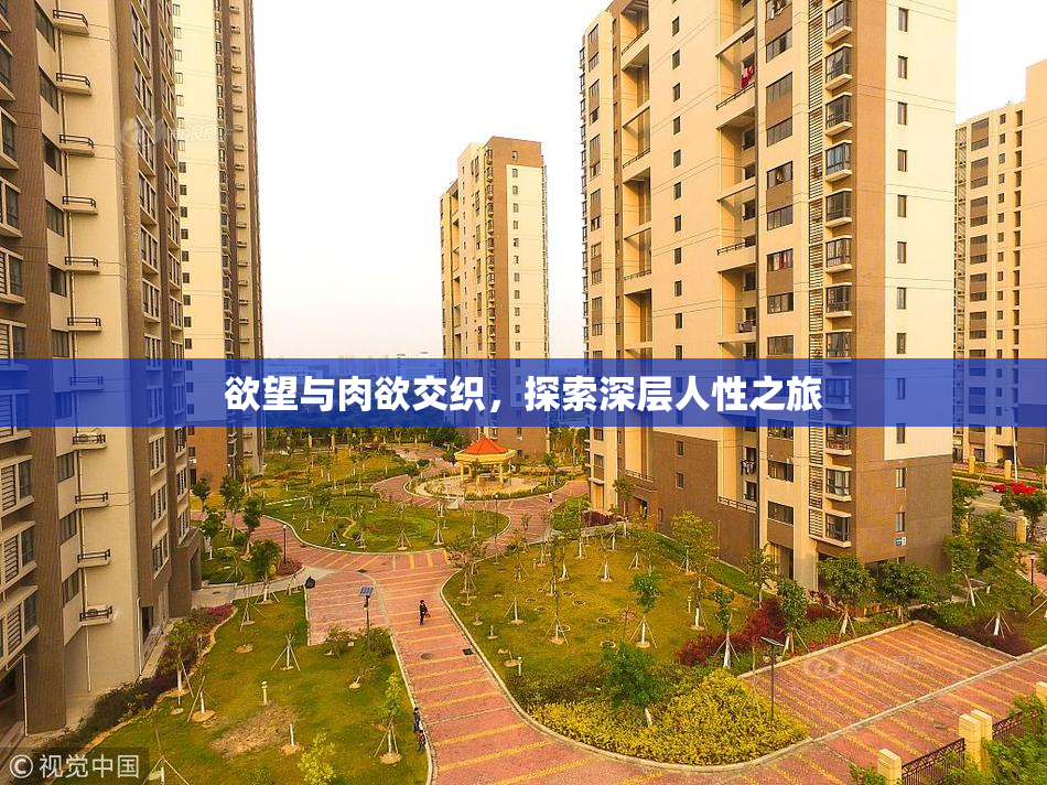 欲望与肉欲交织，探索深层人性之旅