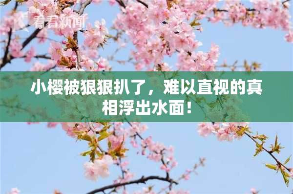小樱被狠狠扒了，难以直视的真相浮出水面！