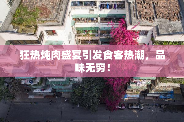 狂热炖肉盛宴引发食客热潮，品味无穷！