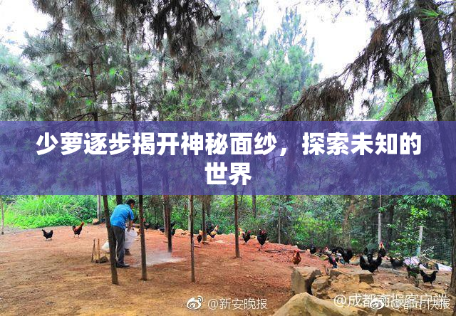 少萝逐步揭开神秘面纱，探索未知的世界
