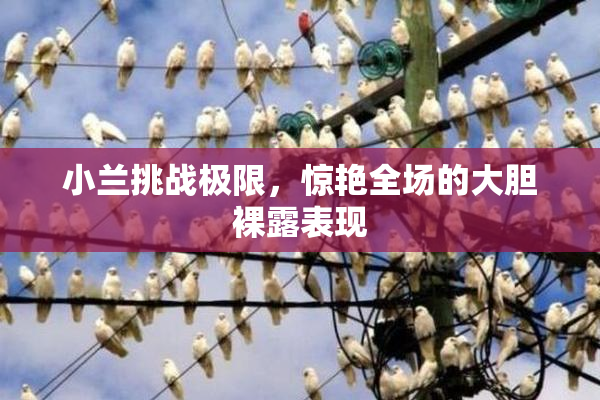 小兰挑战极限，惊艳全场的大胆裸露表现