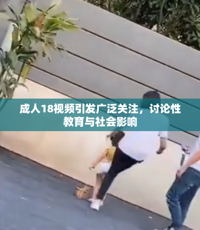 成人18视频引发广泛关注，讨论性教育与社会影响