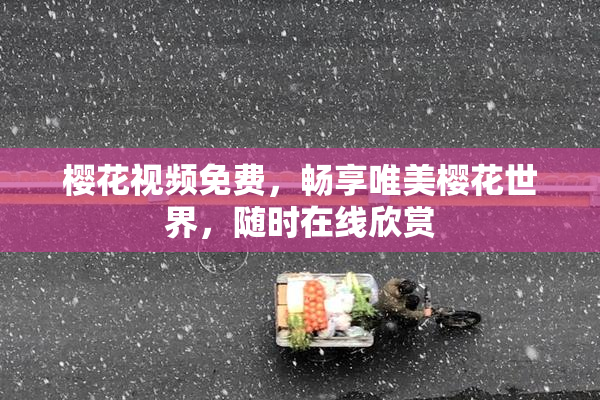 樱花视频免费，畅享唯美樱花世界，随时在线欣赏