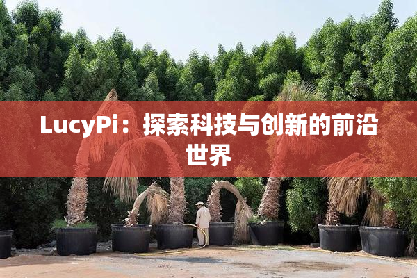 LucyPi：探索科技与创新的前沿世界