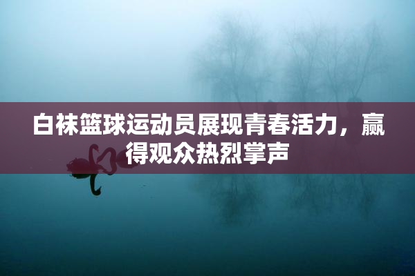 白袜篮球运动员展现青春活力，赢得观众热烈掌声