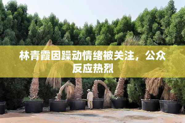 林青霞因躁动情绪被关注，公众反应热烈