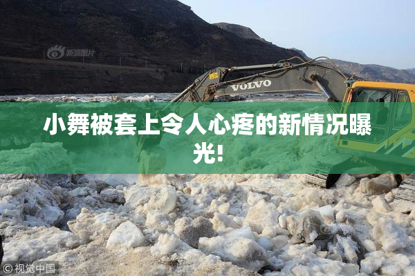 小舞被套上令人心疼的新情况曝光!