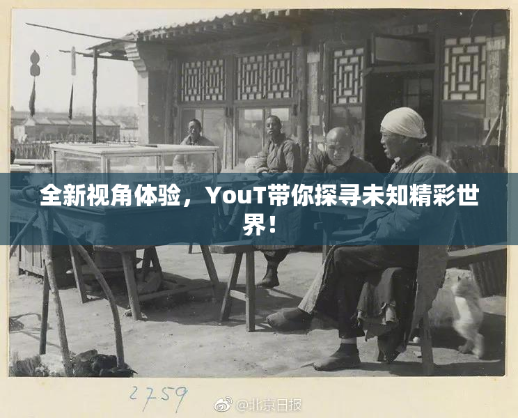 全新视角体验，YouT带你探寻未知精彩世界！