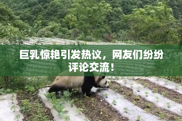 巨乳惊艳引发热议，网友们纷纷评论交流！