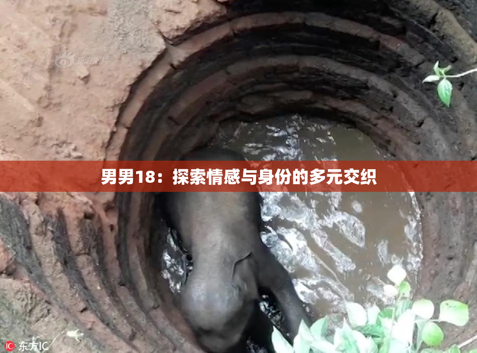 男男18：探索情感与身份的多元交织