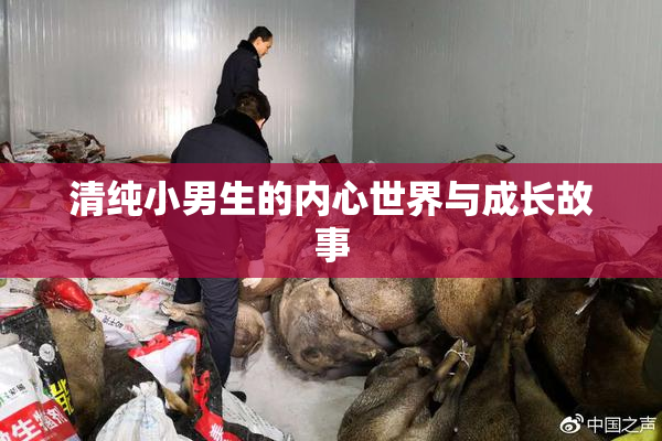 清纯小男生的内心世界与成长故事
