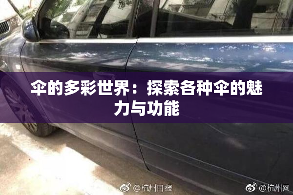 伞的多彩世界：探索各种伞的魅力与功能
