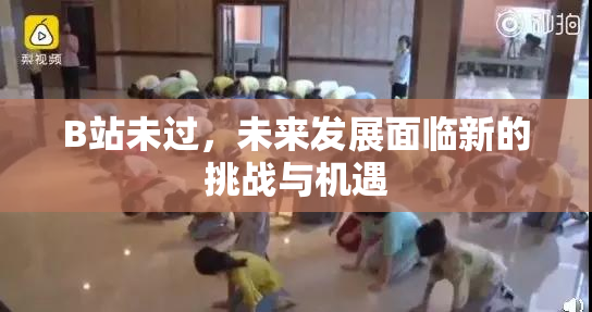 B站未过，未来发展面临新的挑战与机遇