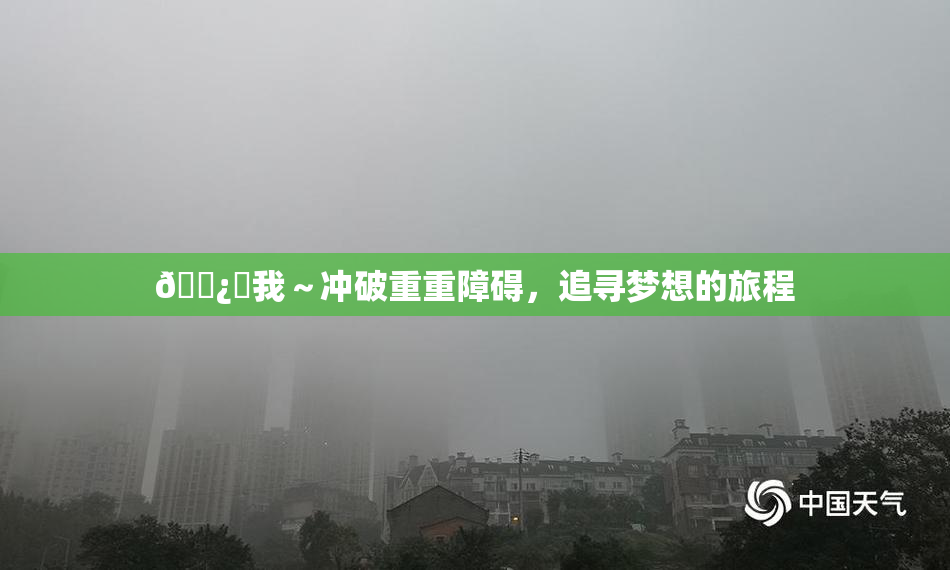 🌿‌我～冲破重重障碍，追寻梦想的旅程