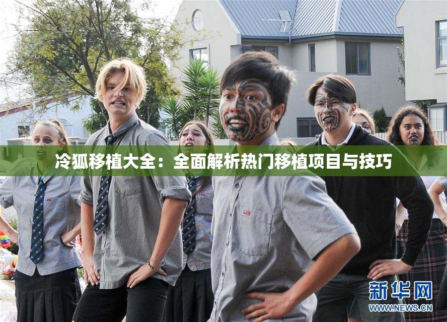 冷狐移植大全：全面解析热门移植项目与技巧