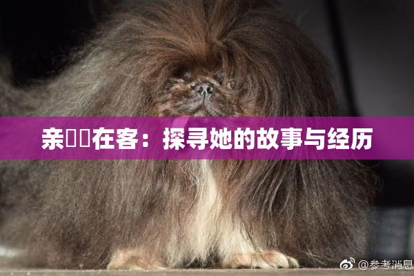亲妺妺在客：探寻她的故事与经历