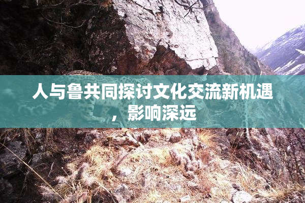 人与鲁共同探讨文化交流新机遇，影响深远