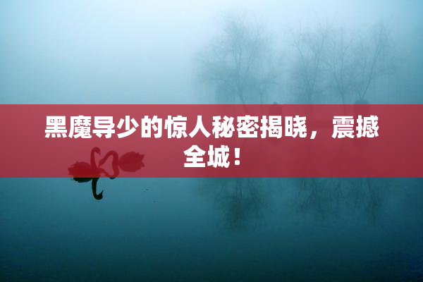 黑魔导少的惊人秘密揭晓，震撼全城！