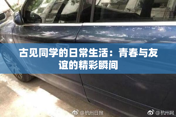 古见同学的日常生活：青春与友谊的精彩瞬间